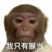  我只有猴当是什么意思？喜猴喜熊是什么意思？
