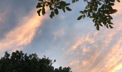 离职背景音乐歌曲bgm有哪些？