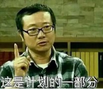 这是计划的一部分是什么意思？