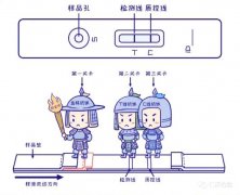 抗原T区红线深浅说明什么问题，是否代表病毒载荷多少？
