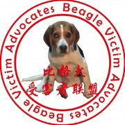 比格 梅西是什么意思？忍人、比菜是什么意思？