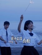 我的青春也不是没伤痕是什么歌？蔡健雅达尔文说的什么