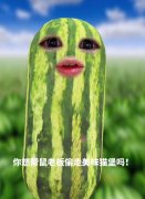 美味猫堡是什么梗？你想帮鼠老板偷走美味猫堡吗什么意思？