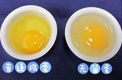 可生食鸡蛋是怎么生产的？可生食鸡蛋和土鸡蛋区别，是智商税吗