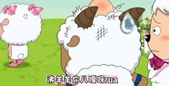 八嘎呀rua是什么意思？沸羊羊八嘎呀rua