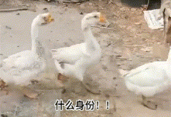 带刀好人什么意思？我带刀好人表情包图片