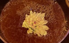 离婚不离身是什么意思？