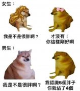 迷因是什么意思？迷因图是什么意思？