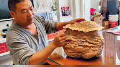 太岁的功效和作用，黑太岁是什么样图片