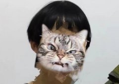 河北朵拉头是什么意思？发型图片