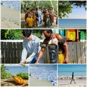 斐济没有癌症是真是假？斐济无癌之国原因（平均寿命揭秘）