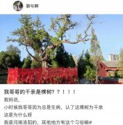 认干娘对被认的有什么不好吗？认石头、大树当干娘什么讲究