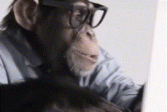 猴子与打字机悖论解释，无限猴子定理有什么意义