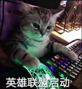 英雄联盟马服什么意思？是什么服务器