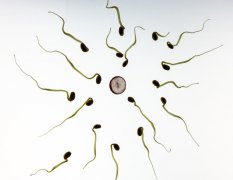 捐一次精可以得多少钱？捐精的流程介绍