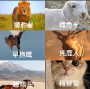 梅角羊食不食什么意思？纯鹿人什么意思？