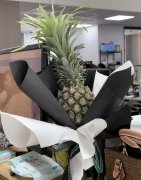 黑凤梨那双眼动人笑声更迷人什么歌？歌词