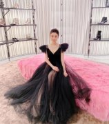 蔡天凤案件经过