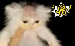 佛罗里达州不养闲人是什么意思？