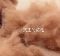 驼毛被子的优缺点，驼毛被子和羊毛被子哪个好？