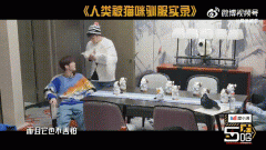 吸猫是什么意思？吸猫到底是对猫干嘛