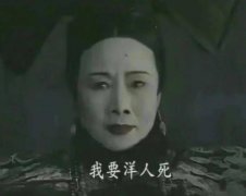 我要洋人死是哪部电视剧？表情包