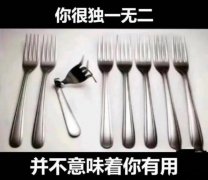 你很独一无二并不意味着你有用啥意思？叉子表情包图片