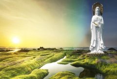 观音菩萨的道场在哪？有三个主要道场