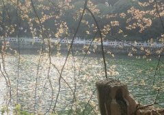 你欠我一个拥抱的清晨什么歌？《两个我们》歌词