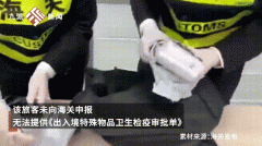 孕妇血液样本可以检测胎儿性别吗？可以检测出来什么