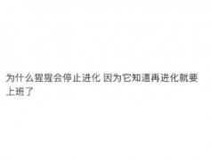 猩猩为什么停止进化，没有进化成人类