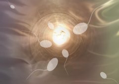 男性最佳生育年龄是什么时候？超过最佳生育年龄可能的隐患盘点