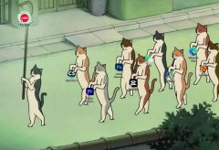 猫的报恩电脑壁纸