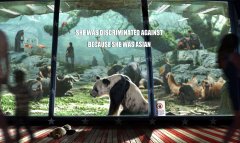 乌合麒麟是用什么画的漫画，什么软件？