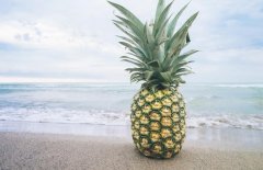 吃菠萝上火还是降火，从两个角度来看！