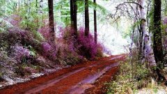 身体凉寿命更长的原因：低温会促进细胞自我清洁