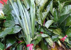 柚子叶为什么可以去晦气辟邪？柚子叶洗澡真能去霉运吗