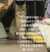 这就是我的善恶观出处，原文