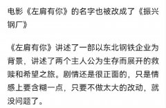 左肩有你原著小说叫什么，为什么改名振兴钢厂？