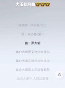 为什么说烧酒歌是大玉处刑曲什么意思