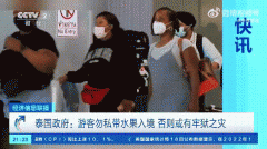 为什么去泰国不能私自携带水果？背后原因分析