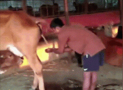 龙遗丸在古代是什么意思？龙遗丸确有其事吗？
