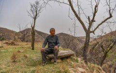 守村人是什么意思，是干什么的？