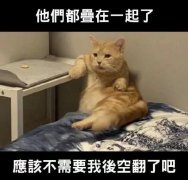 我家猫会后空翻是什么意思？类似的高情商说法有很多