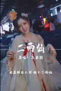 我愿醉在人间做个二两仙是什么歌？表达了什么意思？