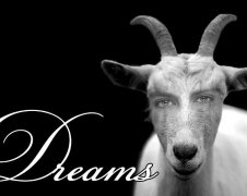 撒旦和路西法的关系，路西法由撒旦堕落而来！