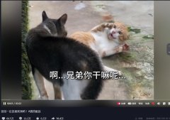 哥哥一定是喜欢我吧文案，出处