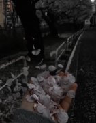 我与风不同谋偏要逆着风走是什么歌？表达了什么含义
