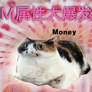 M属性大爆发什么意思，相关表情包来了！