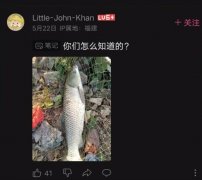 赛博迷路是什么意思？钓鱼佬特有的赛博迷路